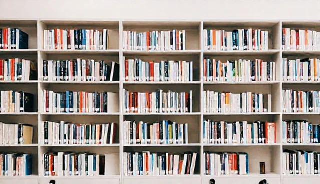 批量处理提示词适用情况与限制说明