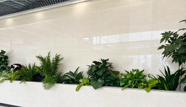 AI文案提示词在养猫指南中的适用情况与限制