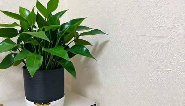 老师用AI提示词的使用场景与限制分析