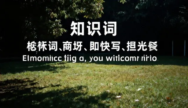 AI绘画提示词客服话术常见误区澄清